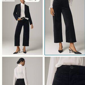 The Colette Cropped Wide leg pant in black velvet